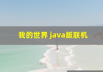 我的世界 java版联机